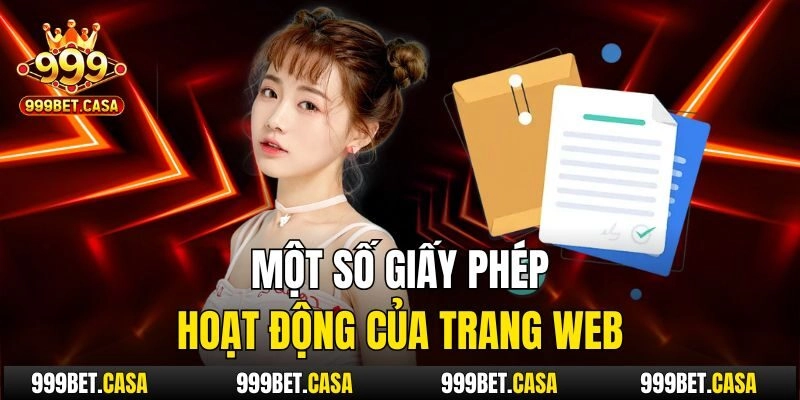 Một số giấy phép hoạt động của trang web